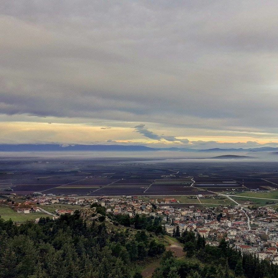 ΦΩΤΟΓΡΑΦΙΑ ΤΗΣ ΗΜΕΡΑΣ 281115