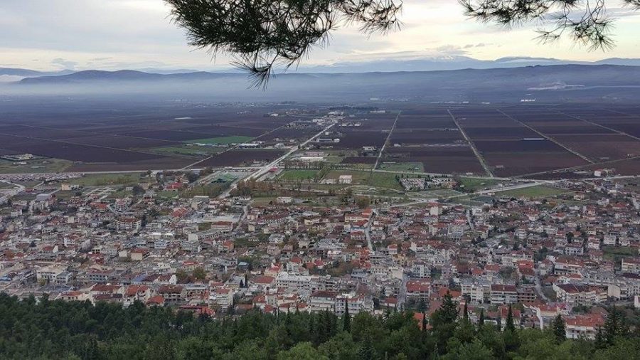 ΠΡΟΦΗΤΗΣ ΗΛΙΑΣ ΦΑΡΣΑΛΑ