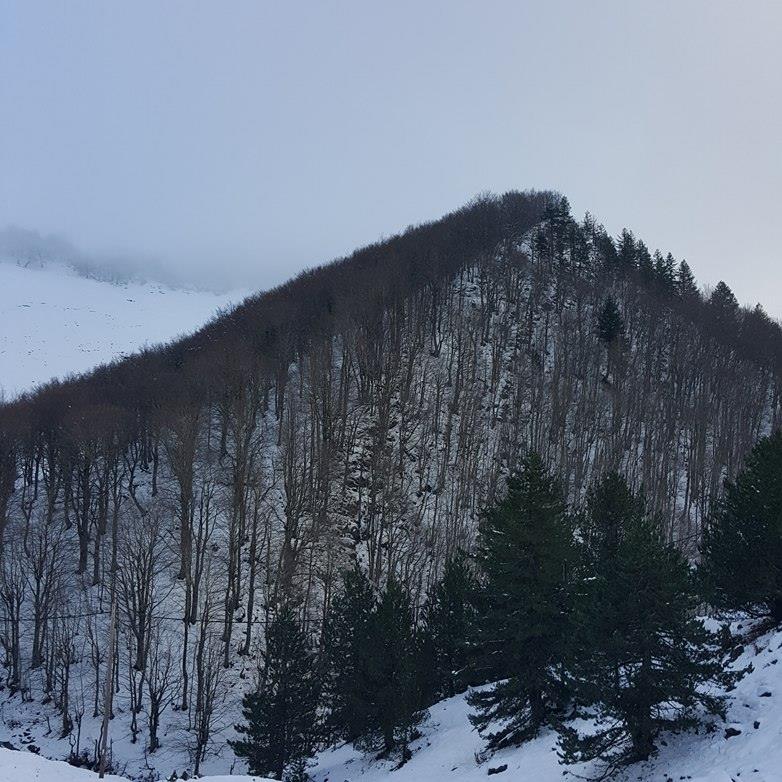 Ανήλιο Μετσόβου χιονοδρομικό (5)
