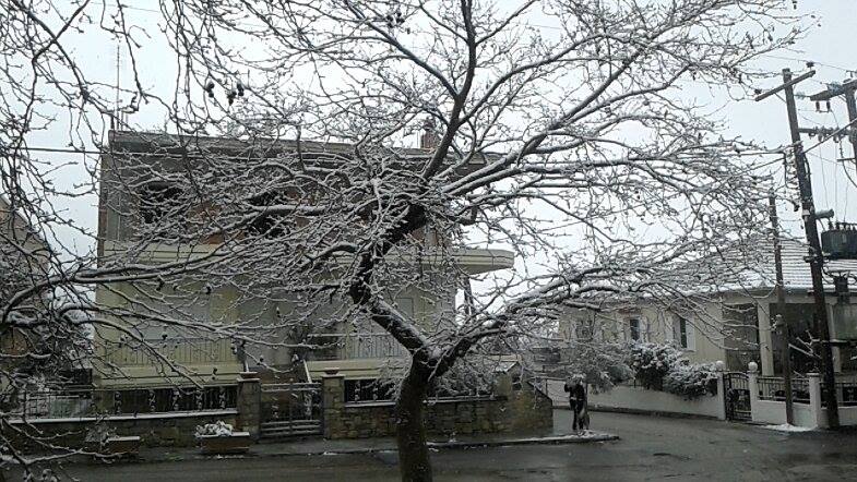 χιονι3 φαρσαλα 180116