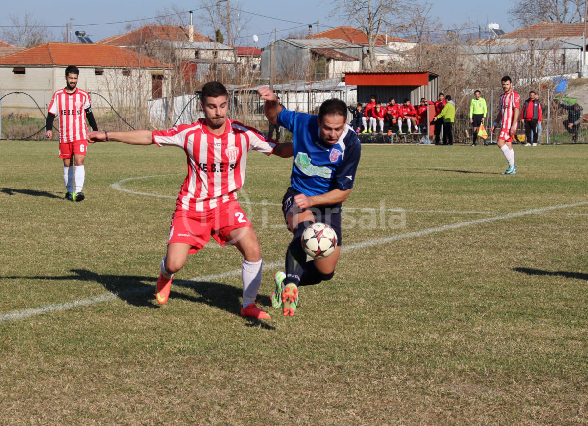 ΑΜΠΕΛΙΑ - ΑΝΑΓΕΝΝΗΣΗ-0193