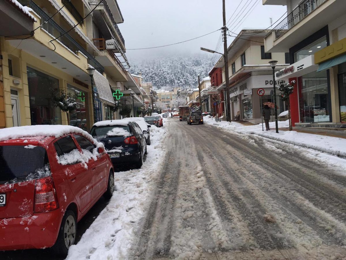 Φάρσαλα: Έκλεισαν όλα τα σχολεία με απόφαση σήμερα το πρωί