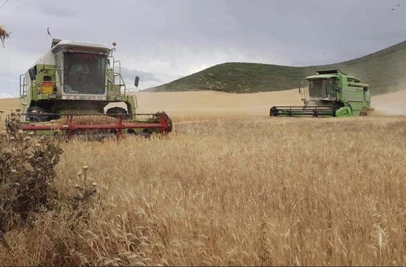 Το θεριζοαλωνιστικό συγκρότημα Αργύρη Δ. & Ψαρογιώργου Δ. σας εύχεται Χρόνια Πολλά!