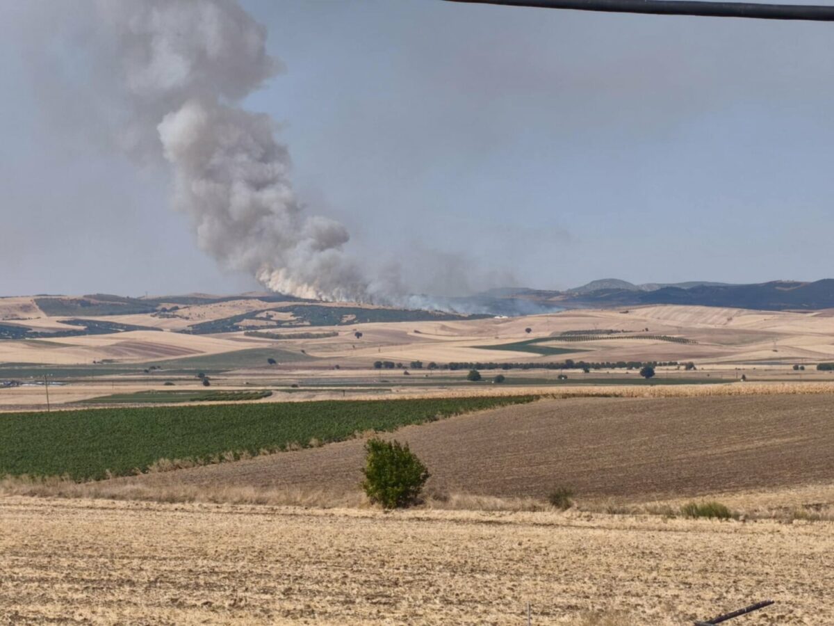 Δύο πυρκαγιές ξέσπασαν στα Φάρσαλα – Στα Άνω Βασιλικά το κύριο μέτωπο